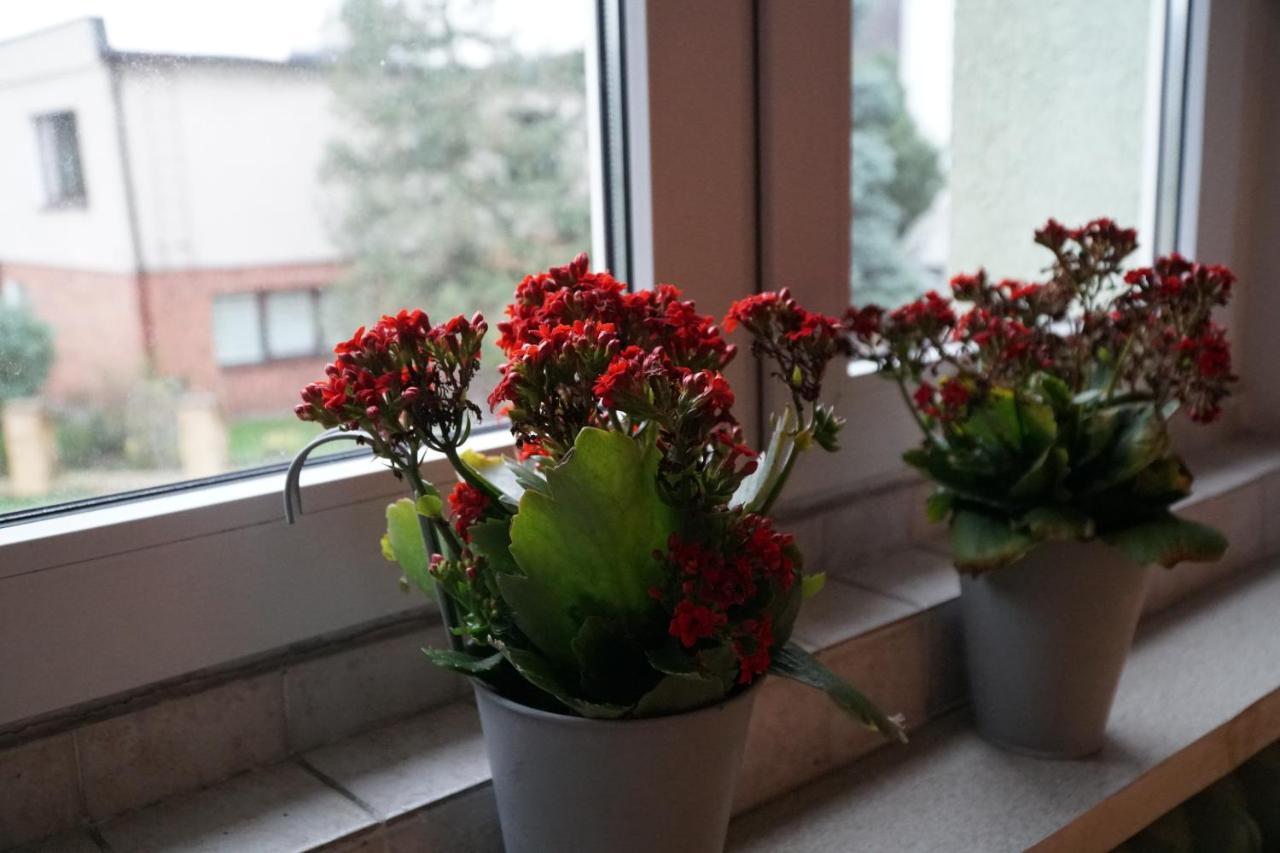 Apartament Paderewski Poznań Kültér fotó