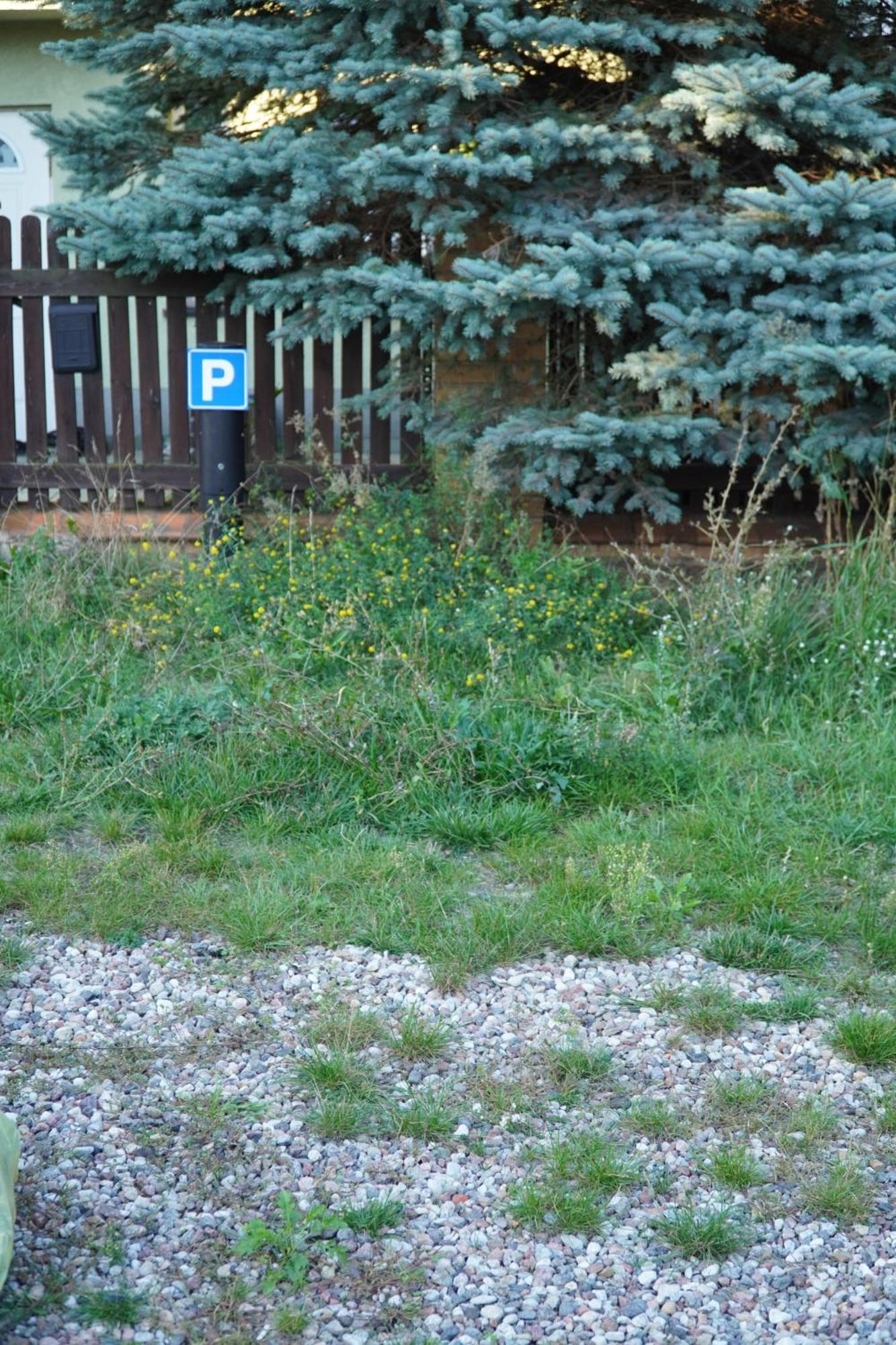 Apartament Paderewski Poznań Kültér fotó